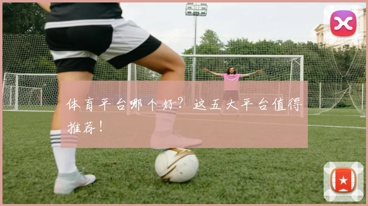 体育平台哪个好?这五大平台值得推荐!