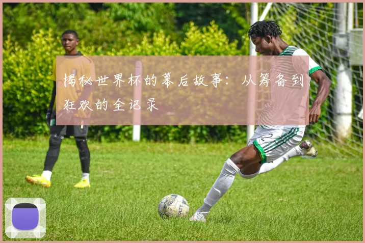 揭秘世界杯的幕后故事：从筹备到狂欢的全记录